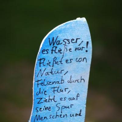 2010 Lutterfest 084